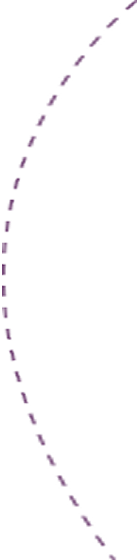 dotted divider