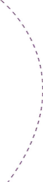 dotted divider