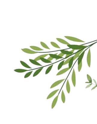 Decorative leaf