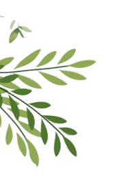 Decorative leaf