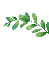 Decorative leaf 1