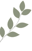 Leaf decoration