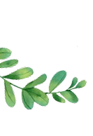 Decorative leaf